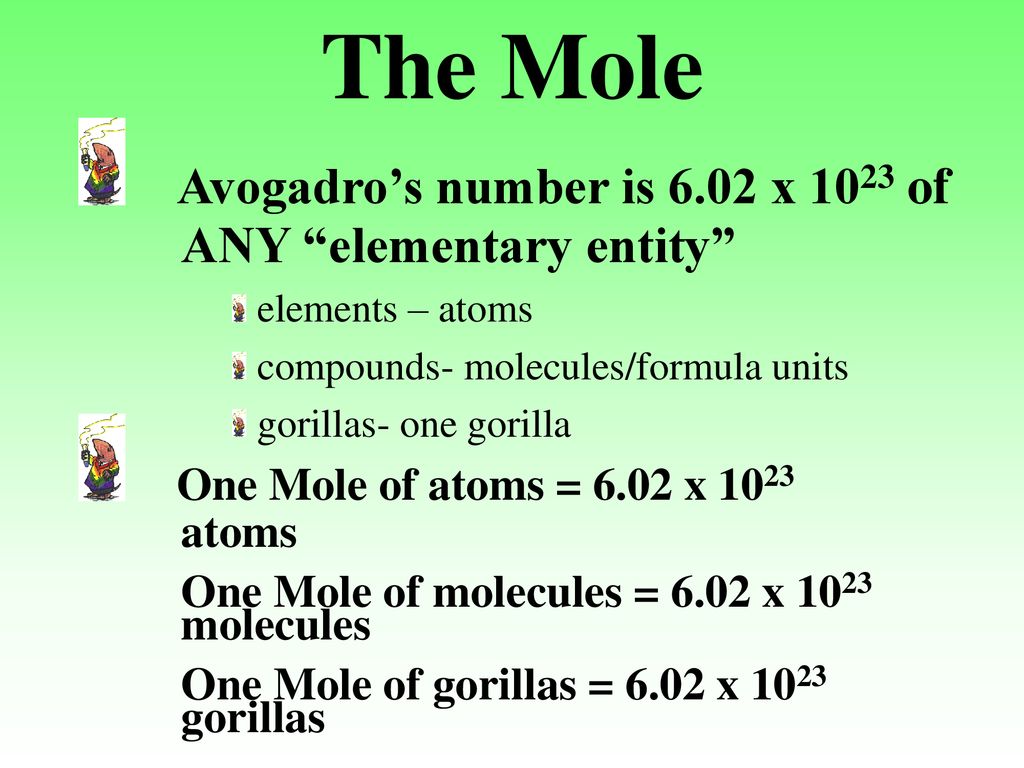 The mole ppt download