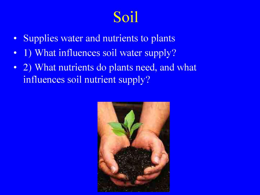 Ch 4 Soil Water Plant Nutrition Soil Symbioses Ppt Download ch-4-soil-water-plant-nutrition-soil-symbioses-ppt-download
