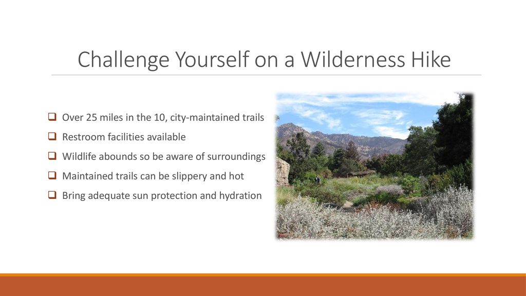 Challenge Yourself on a Wilderness Hike