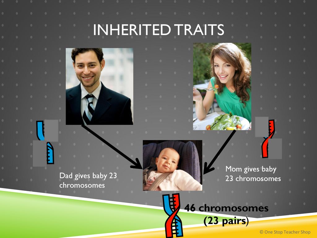 Inherited traits vs. Learned Behaviors - ppt download