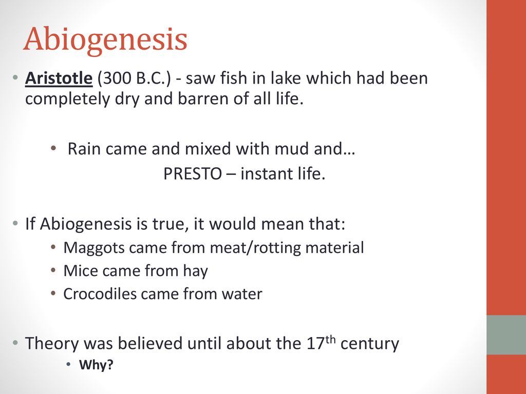 How does life arise 2 major theories ppt download