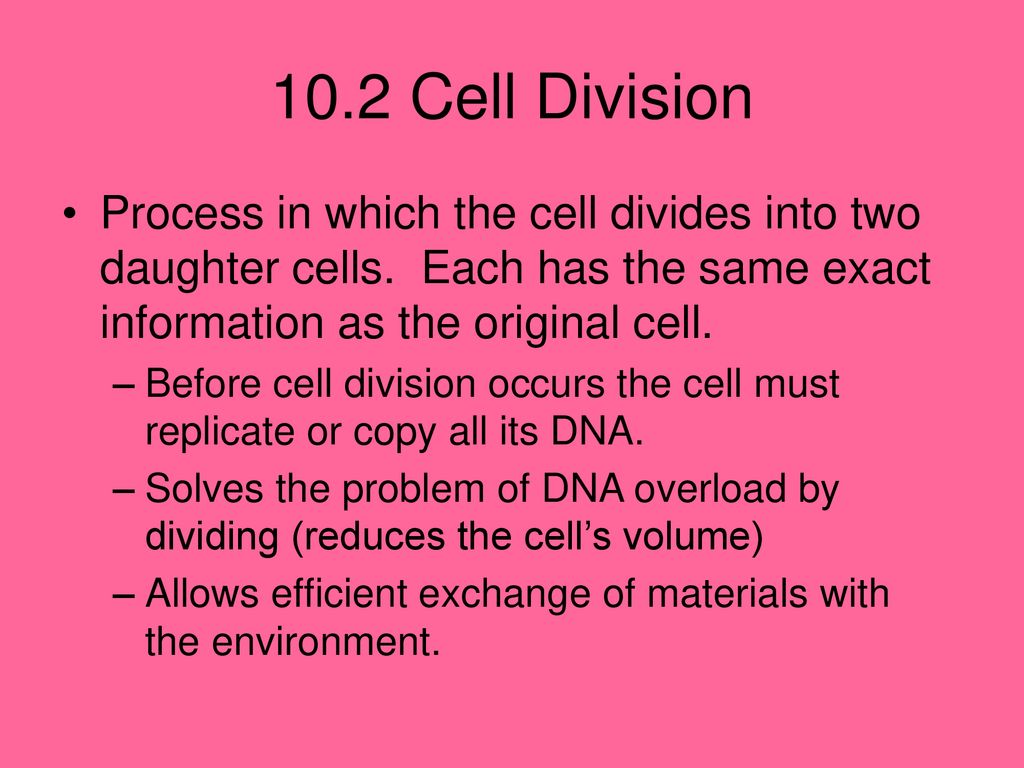 101 Cell Growth Living things grow because it produces more and more Biology Diagrams