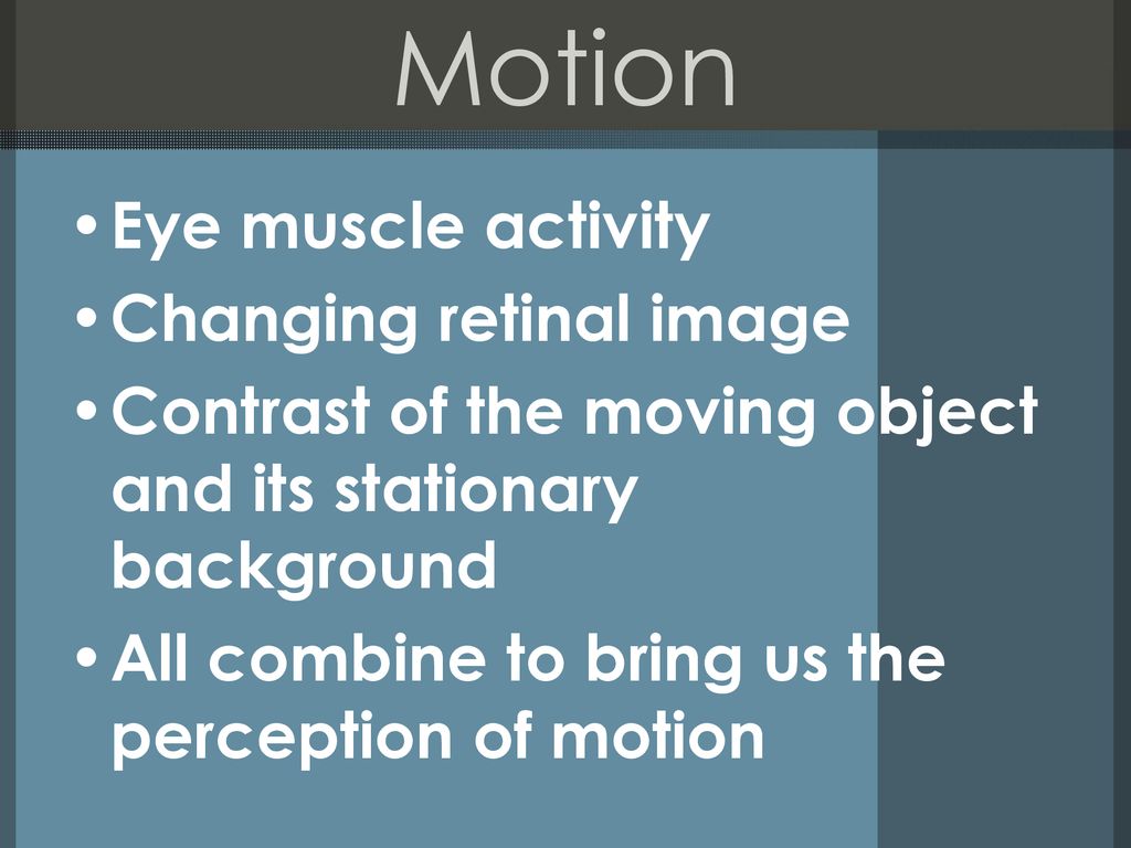 Motion Eye muscle activity Changing retinal image