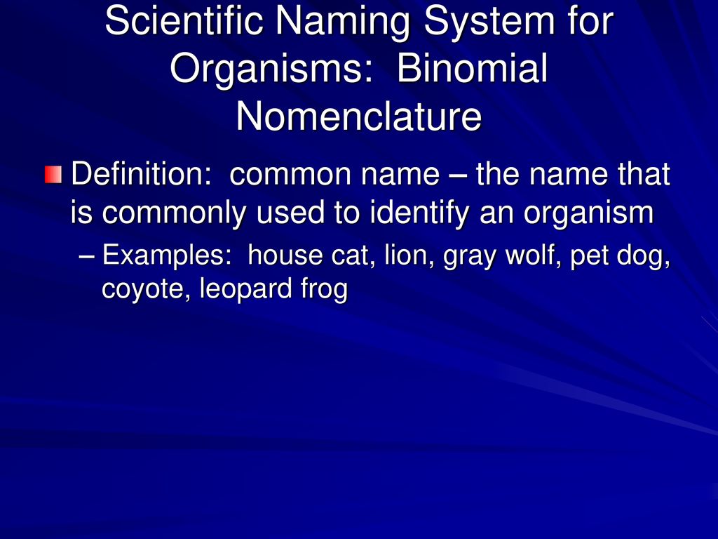 CLASSIFICATION Definitions - ppt download