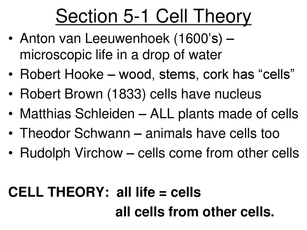 Section 5-1 Cell Theory Anton van Leeuwenhoek (1600’s) – microscopic life in a drop of water. Robert Hooke – wood, stems, cork has cells