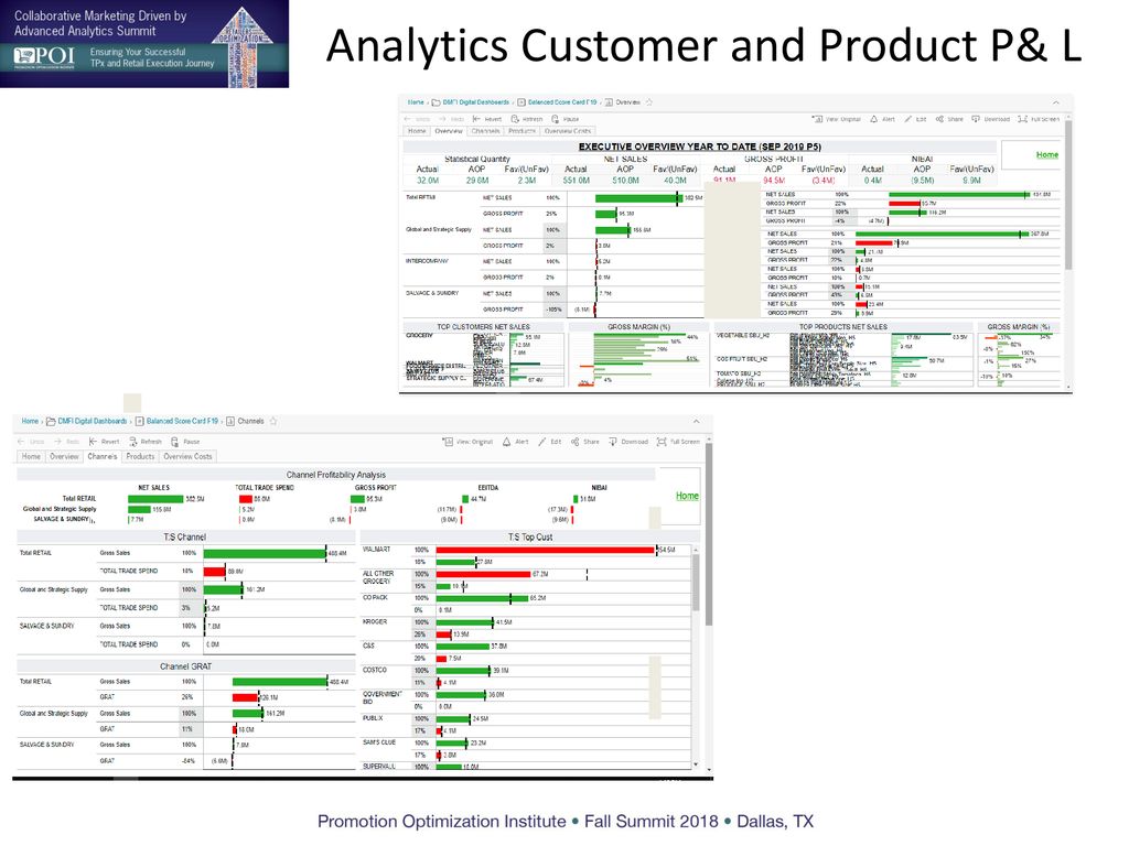 Analytics Customer and Product P& L