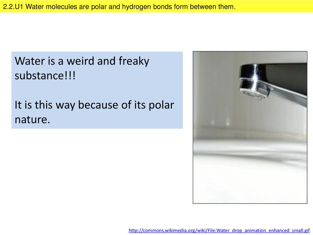 2.2.U1 Water molecules are polar and hydrogen bonds form between them.