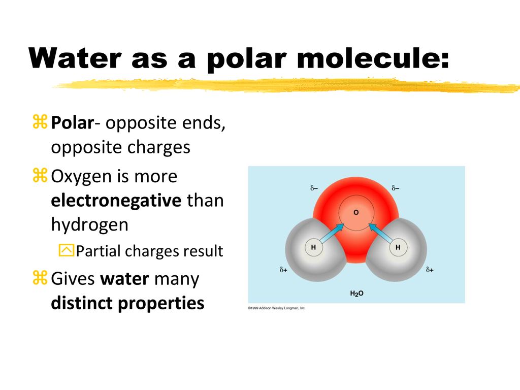 AP Biology Summer Reading - ppt download