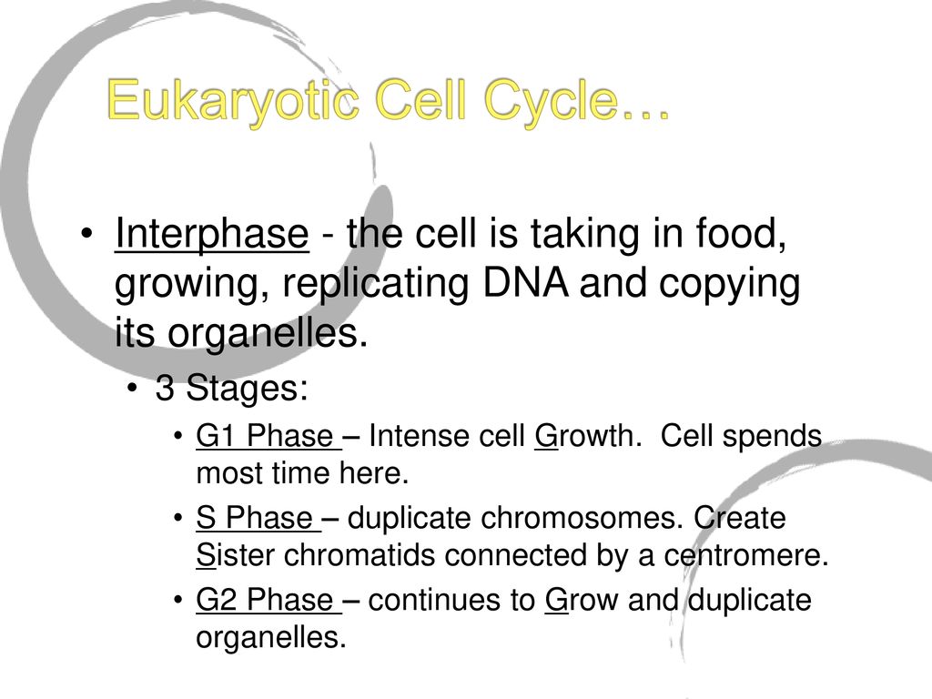 ppt download Biology Diagrams