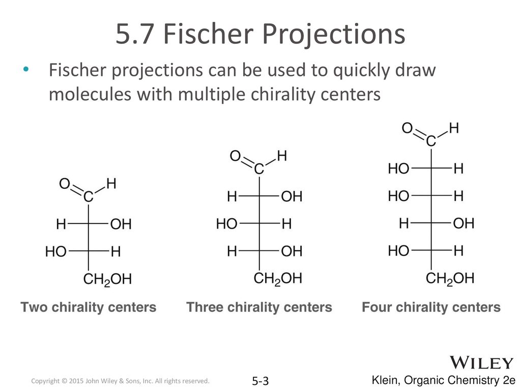 Fischer Projections Section ppt download