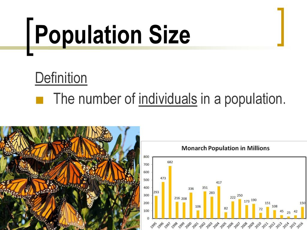 Populations definition ppt download