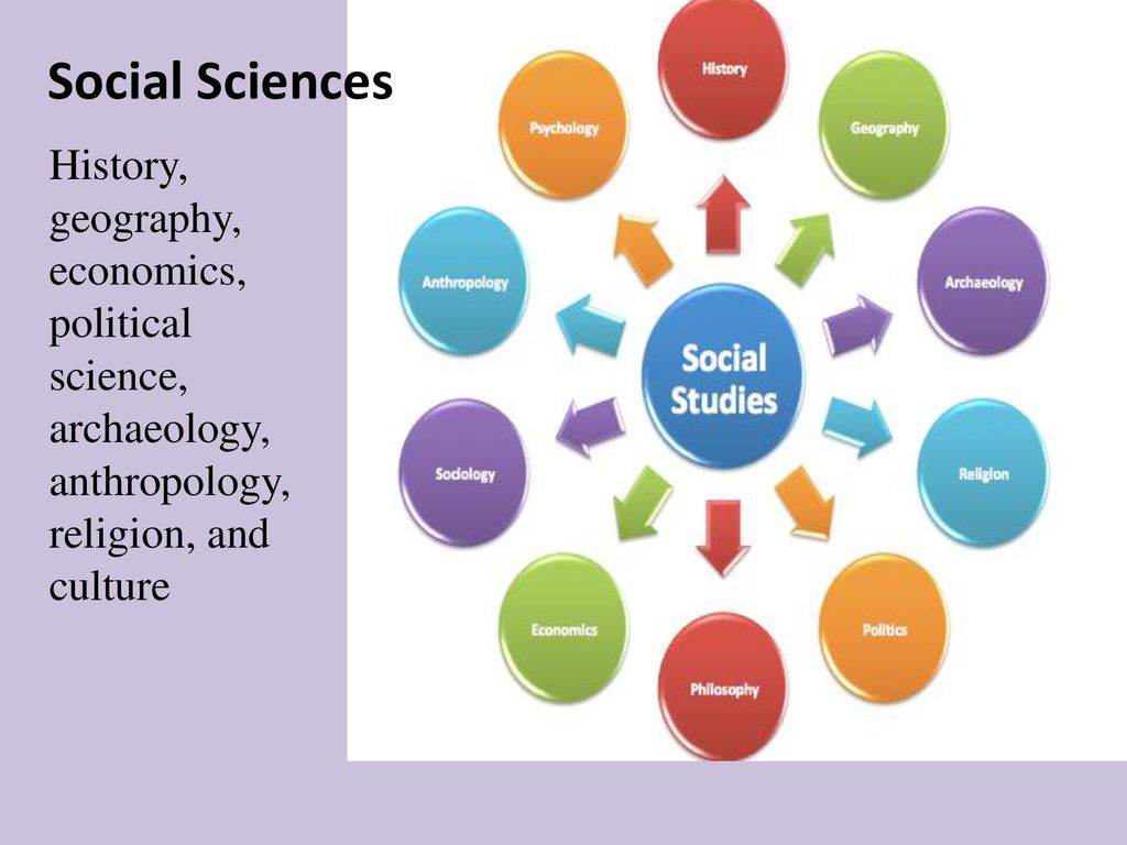relationship of history to other social sciences