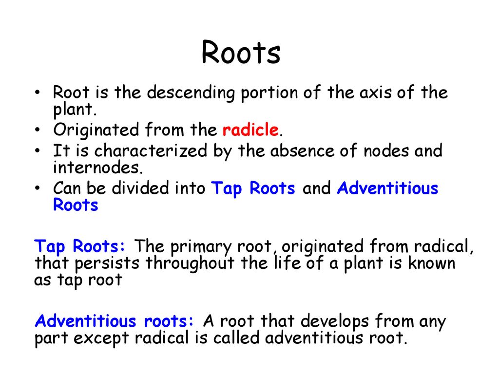 Roots Root is the descending portion of the axis of the plant.