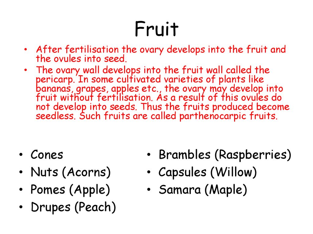 Fruit Cones Nuts (Acorns) Pomes (Apple) Drupes (Peach)