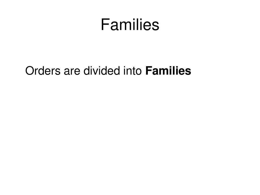Families Orders are divided into Families