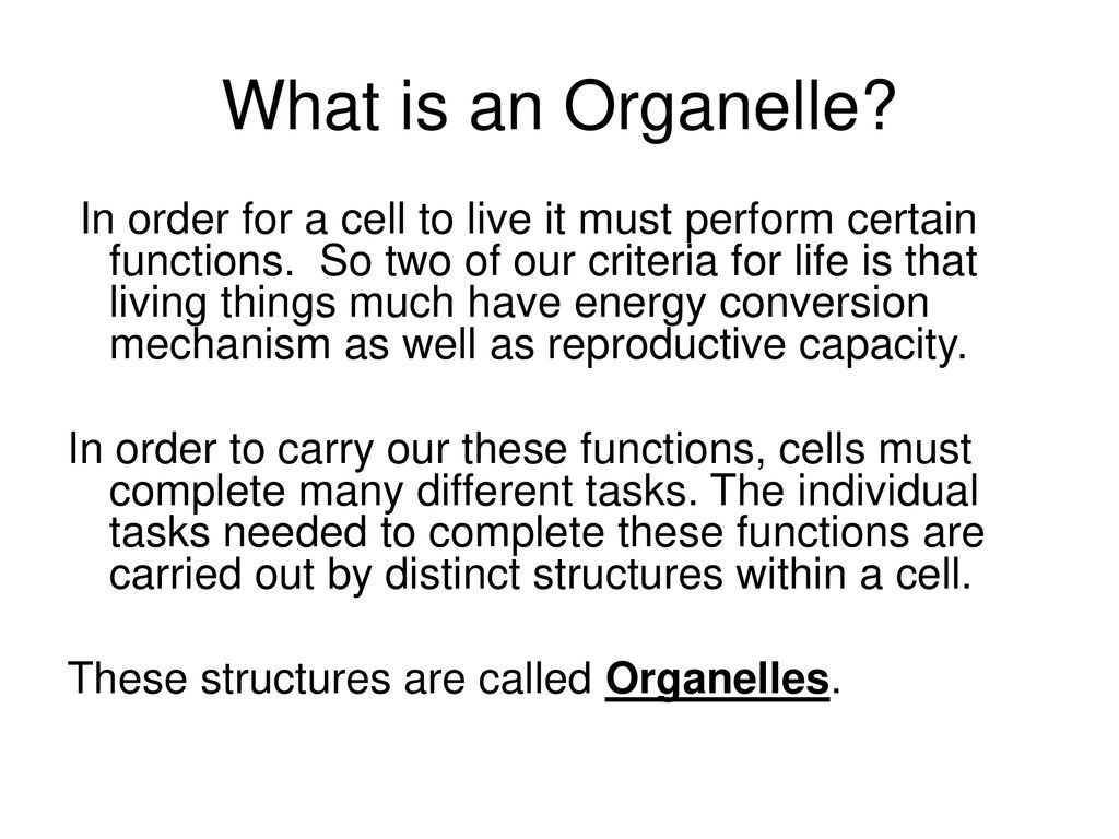 What is an Organelle