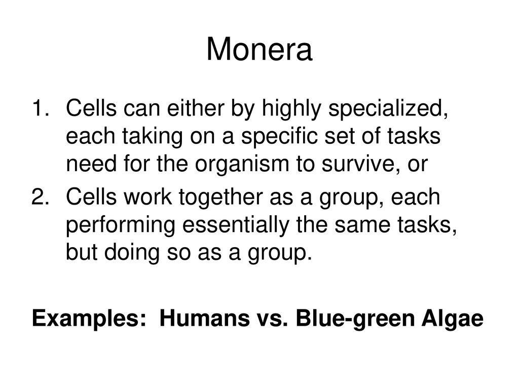 Monera Cells can either by highly specialized, each taking on a specific set of tasks need for the organism to survive, or.
