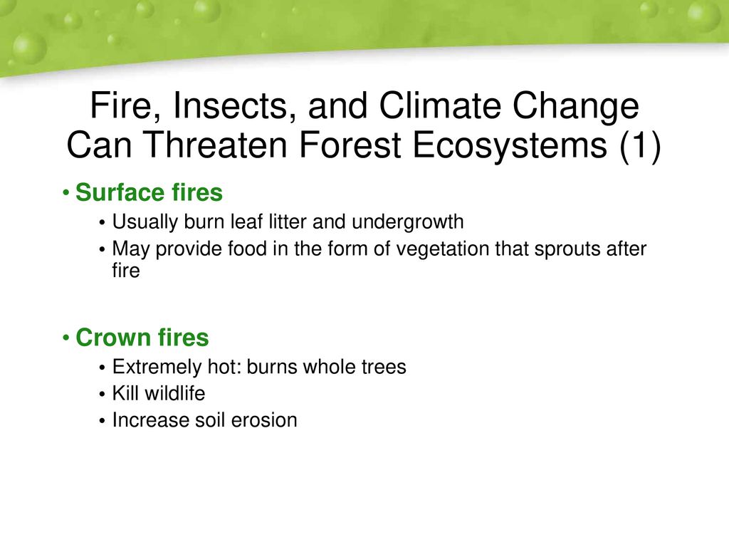 ppt download Biology Diagrams
