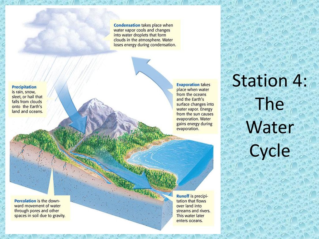 Let’s Review Water Wise! - ppt download