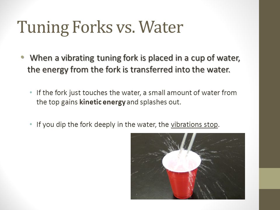 Tuning Forks Lab Review - ppt video online download