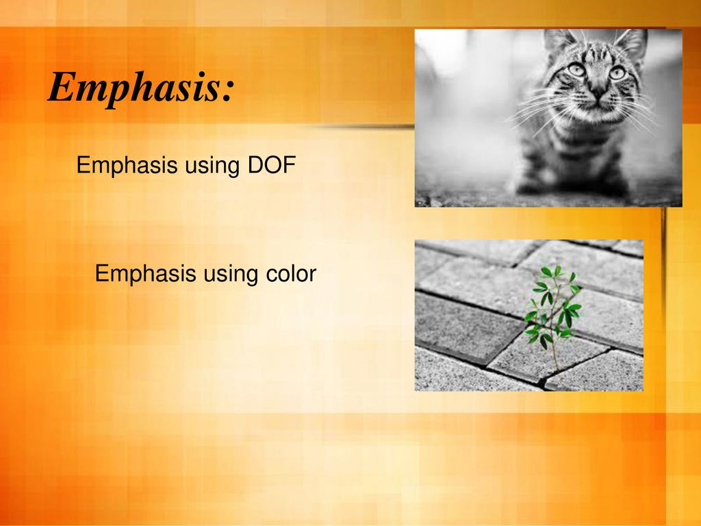 Emphasis: Emphasis using DOF Emphasis using color