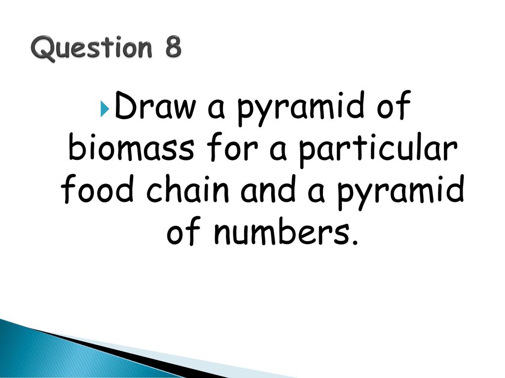 Environmental Feeding And Relationships Revision Ppt Download environmental-feeding-and-relationships-revision-ppt-download