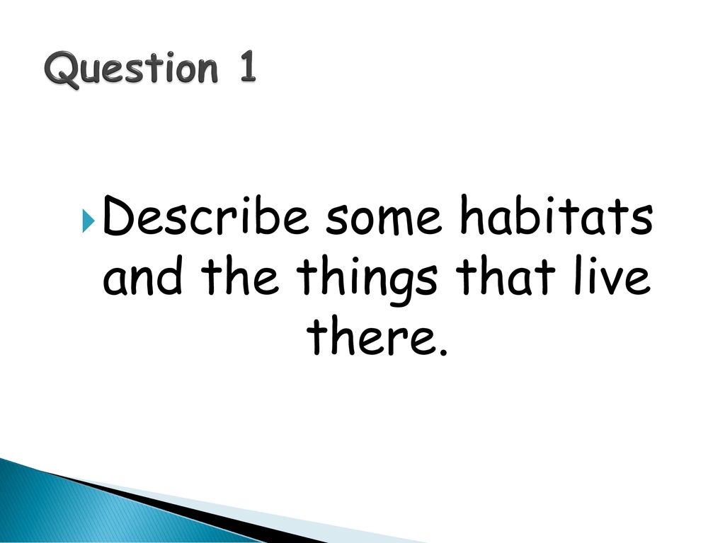 Environmental Feeding And Relationships Revision Ppt Download producers-consumers-and-decomposers-ppt-download