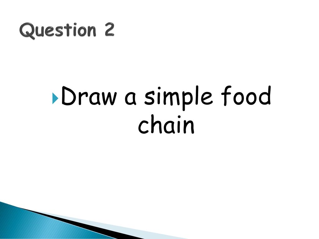 Environmental Feeding And Relationships Revision Ppt Download producers-consumers-and-decomposers-ppt-download
