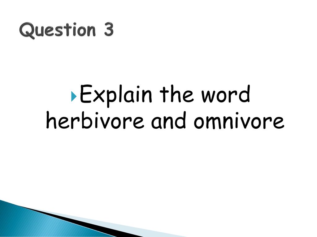 Environmental Feeding And Relationships Revision Ppt Download environmental-feeding-and-relationships-revision-ppt-download