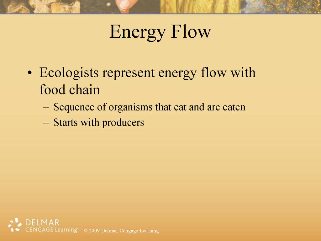 Science Behind Environmental Science Biology Diagrams