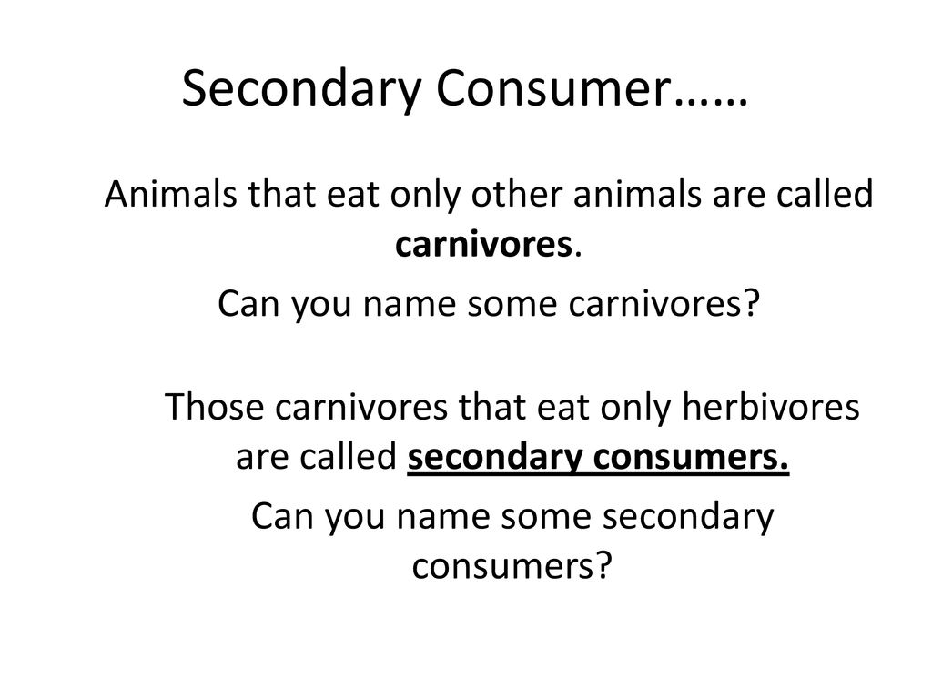 the intertwining food chains within an biological community ... Biology Diagrams