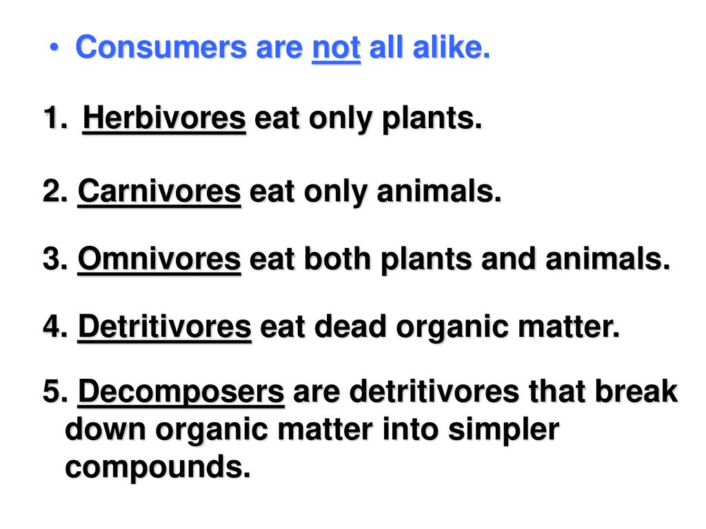 section-13-3-13-4-energy-food-chains-ppt-download