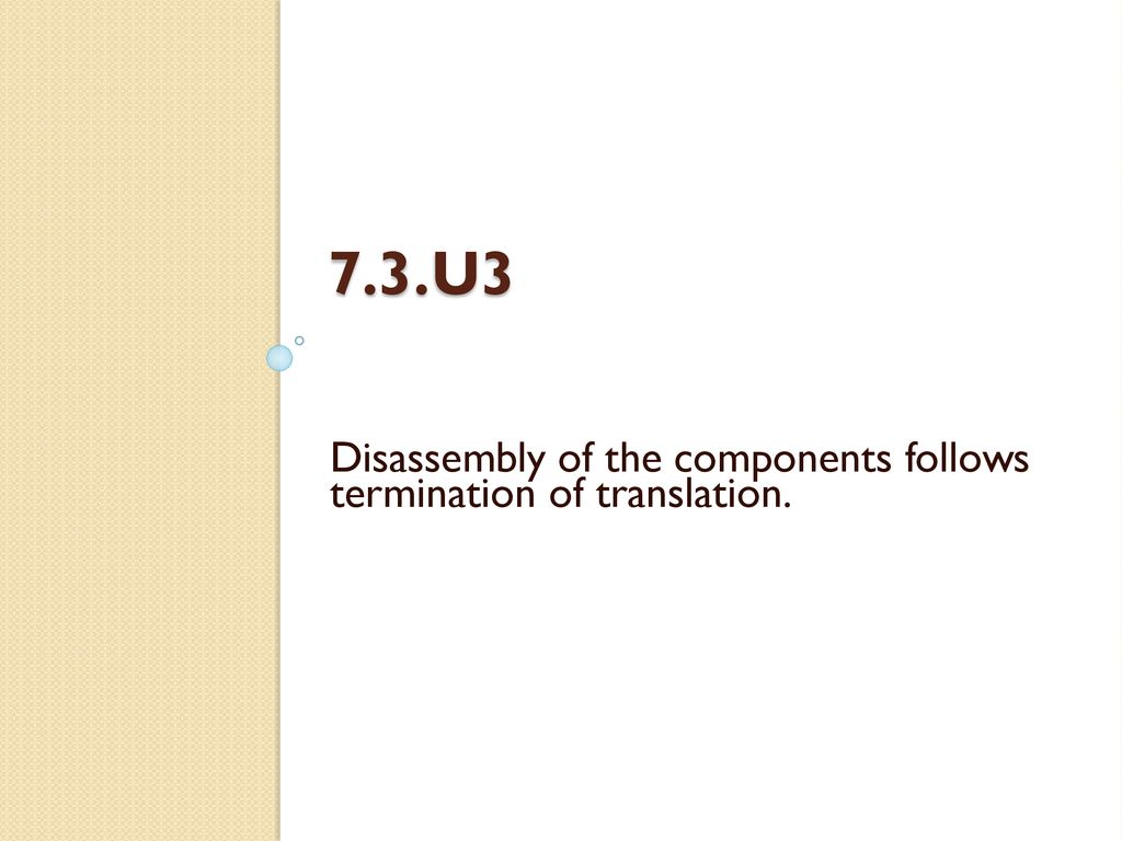 Mr. Briner Unit 7.3 DNA Translation HL - ppt download