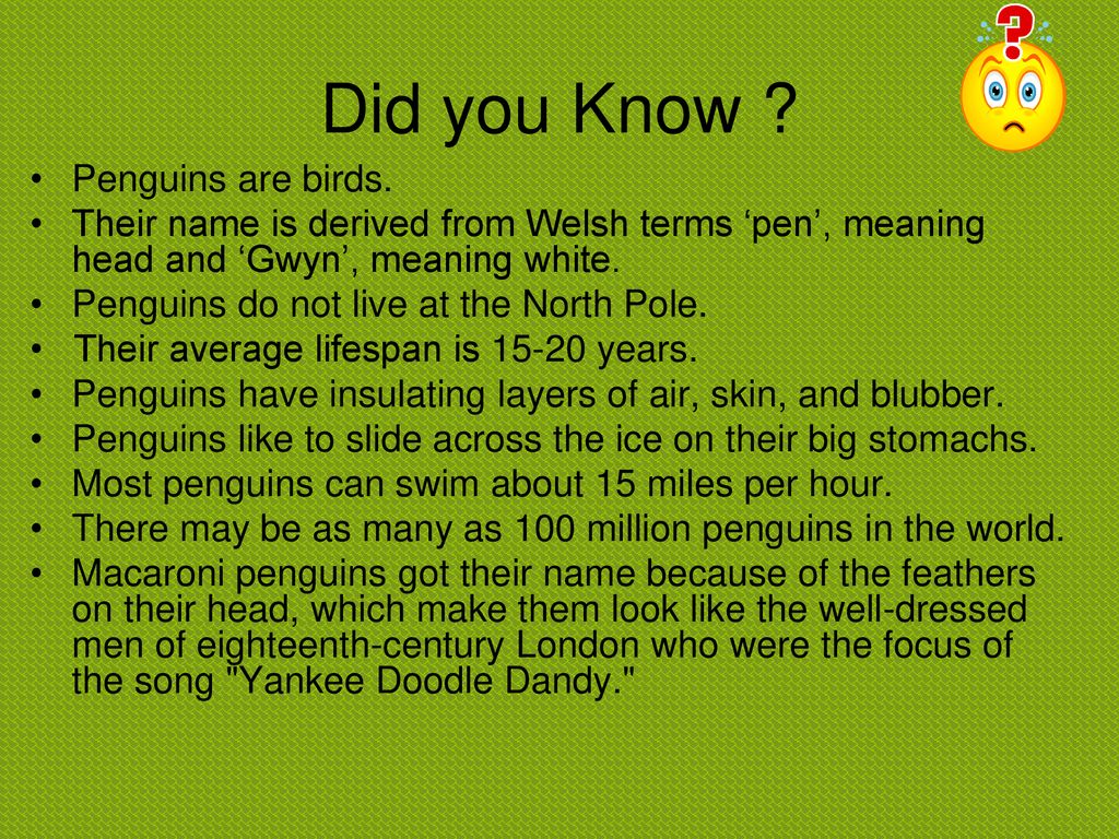 Did you Know Penguins are birds.
