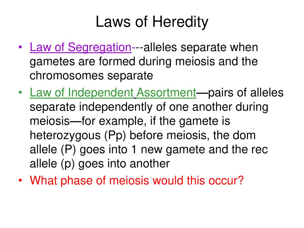 Mendel and Heredity Gregor Mendel (1850’s) Austrian monk that bred pea