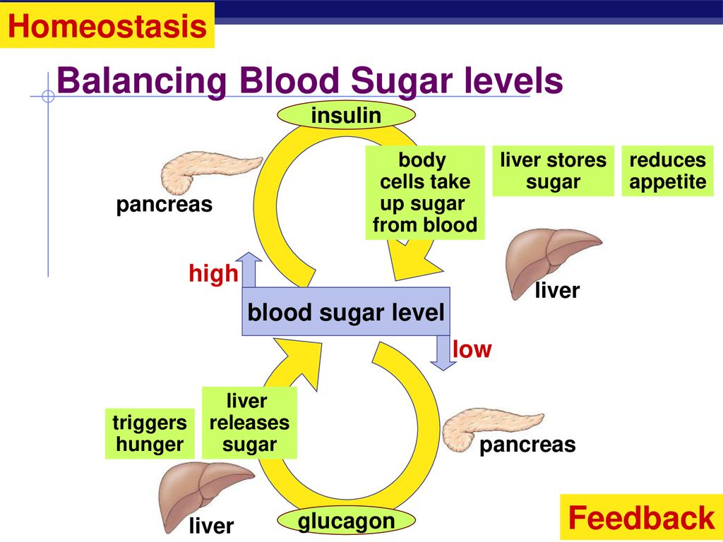 Balancing Blood Sugar levels