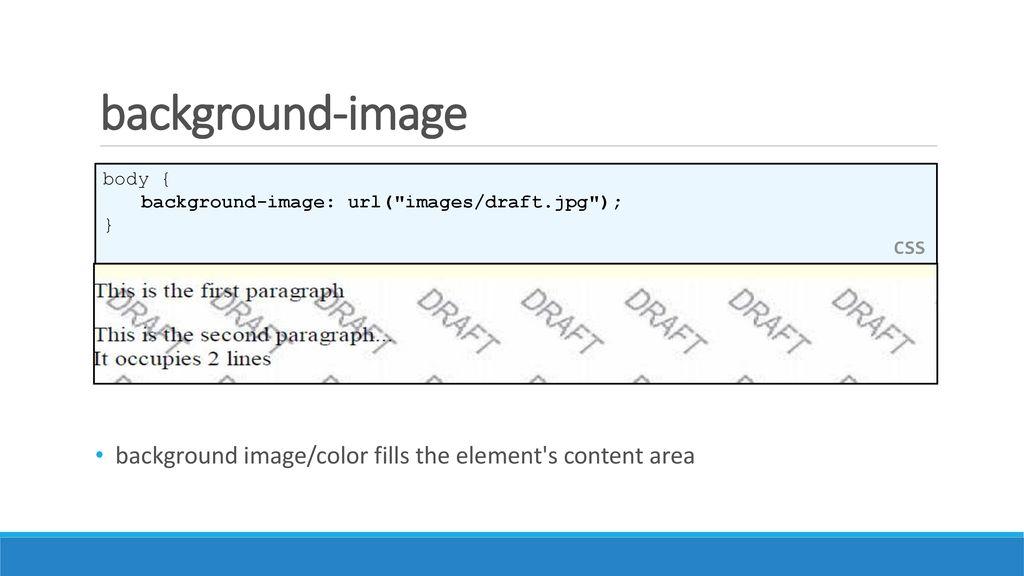 Lecture 2: More HTML and CSS - ppt download