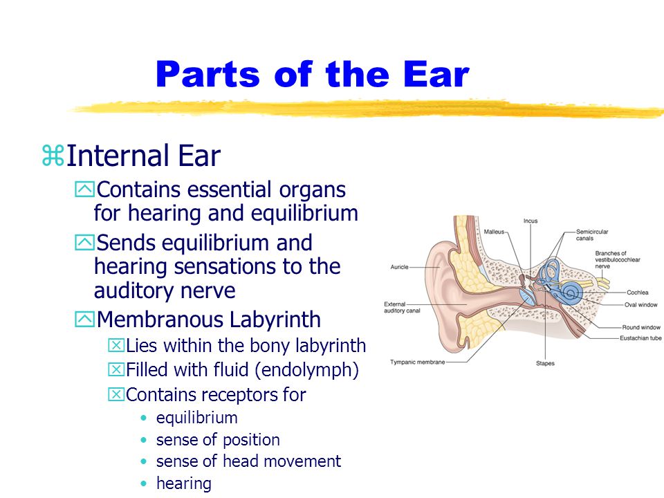 Nursing Of Adults With Medical Surgical Conditons Ppt Video Online Download