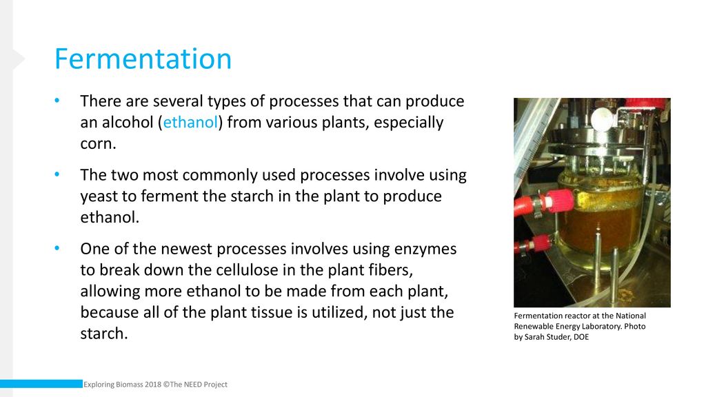Fermentation There are several types of processes that can produce an alcohol (ethanol) from various plants, especially corn.