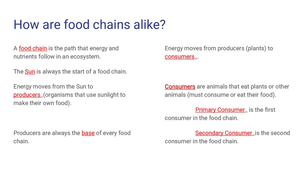 Relationships in Ecosystems Biology Diagrams