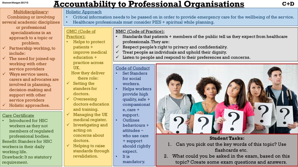 Accountability to Professional Organisations