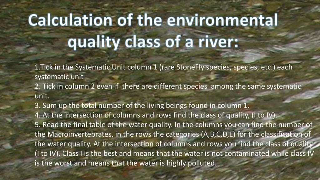 Calculation of the environmental quality class of a river: