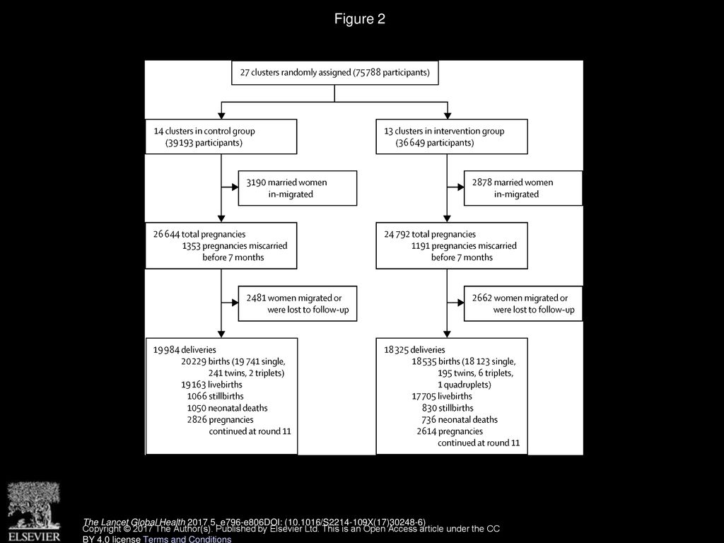 Figure 2 Trial profile. The Lancet Global Health , e796-e806DOI: ( /S X(17) )