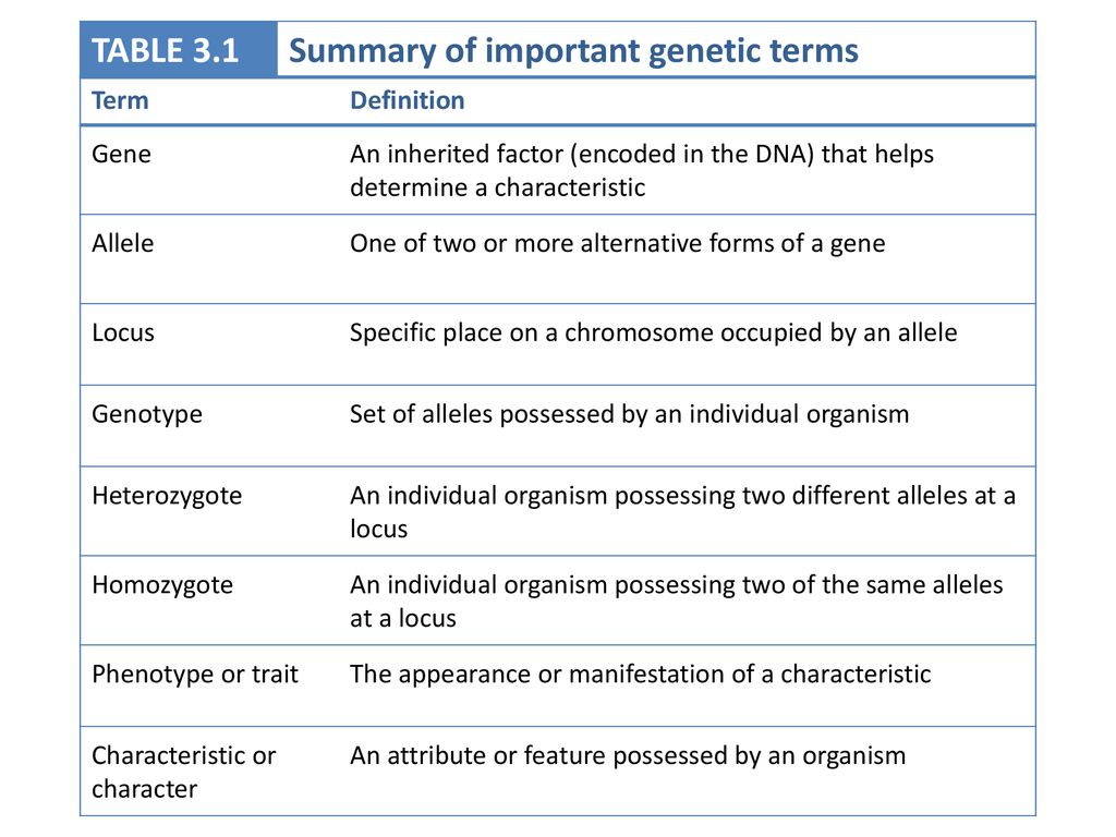 Genetic Terms - Lessons - Blendspace