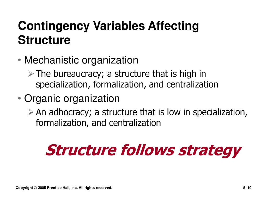 Basic Organization Designs - ppt download