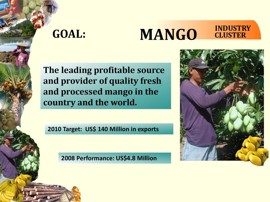 MANGO INDUSTRY. CLUSTER. GOAL: The leading profitable source and provider of quality fresh and processed mango in the country and the world.