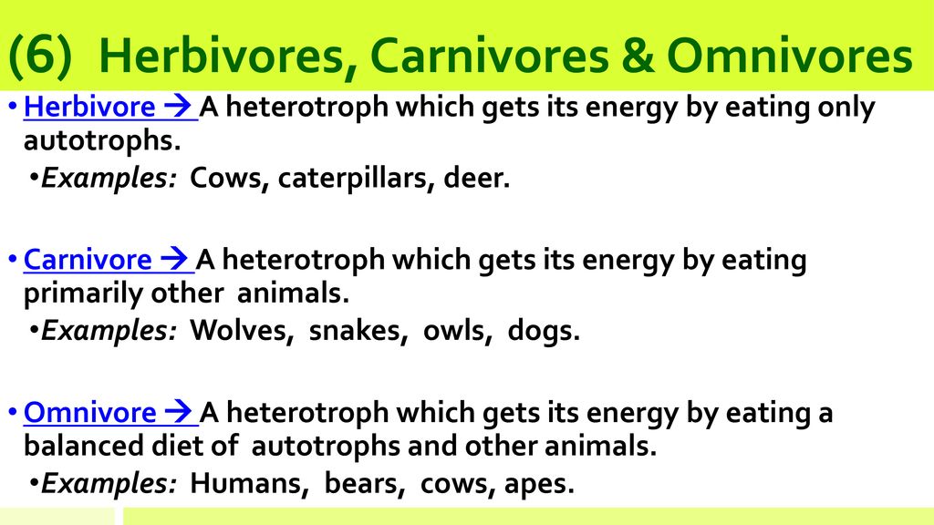 Unit 8 Notes: Ecosystems & Ecosystem Parts - Ppt Download