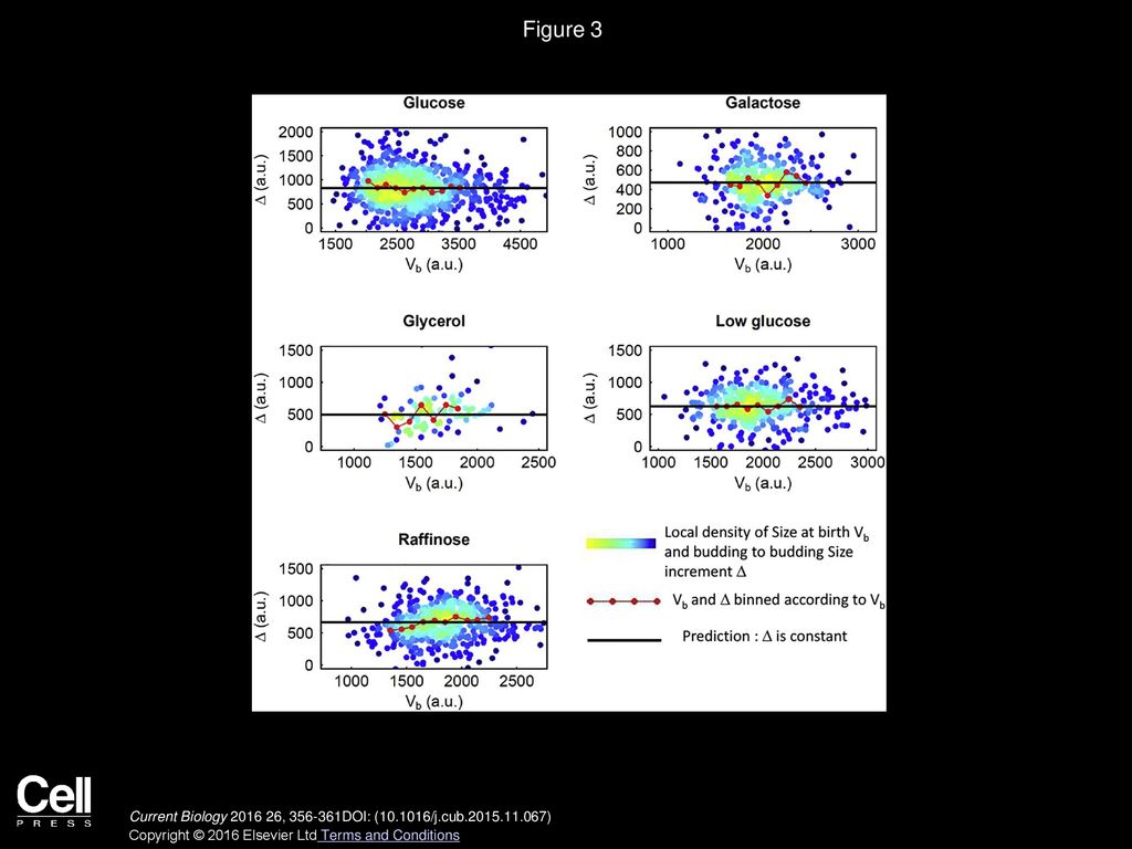 Figure 3 No Correlations between Budding to Budding Volume Increment and Size at Birth.