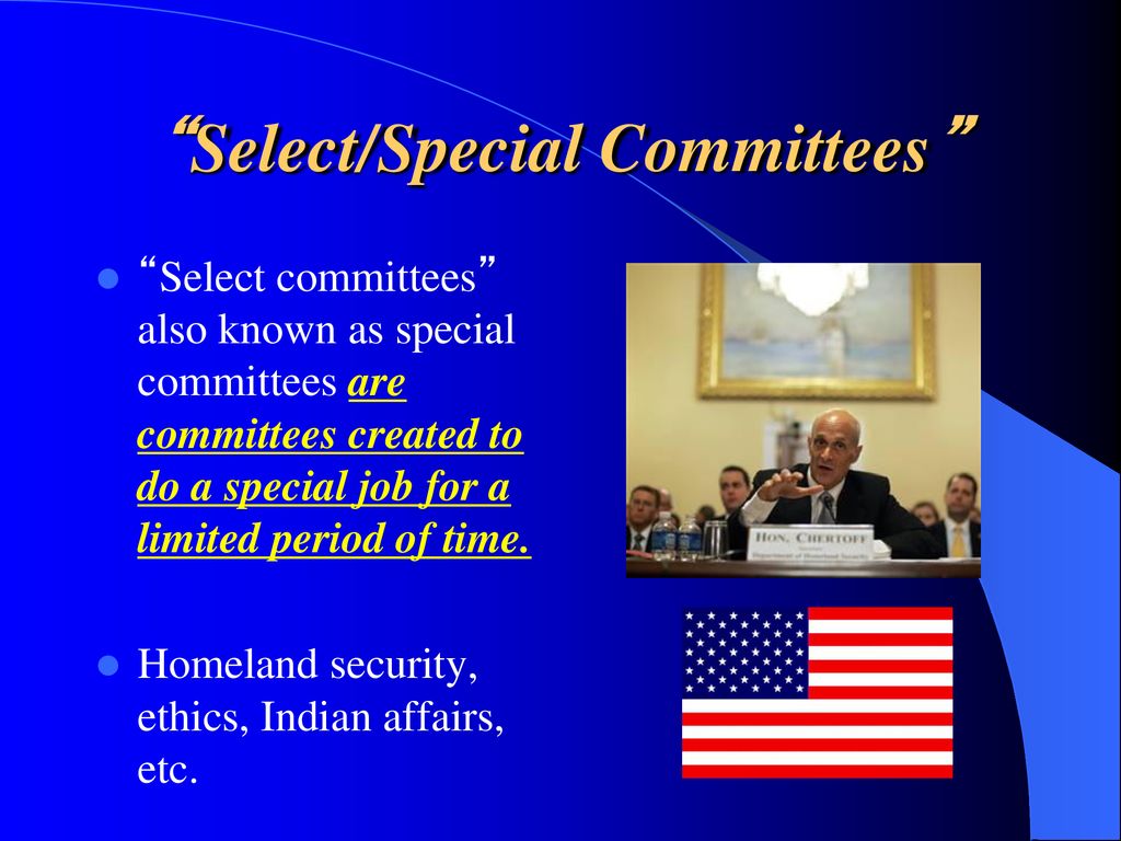 Select/Special Committees