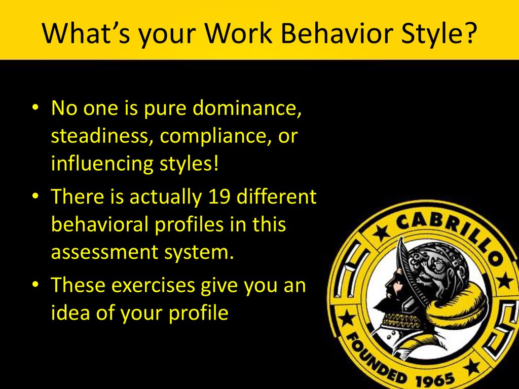What’s your Work Behavior Style
